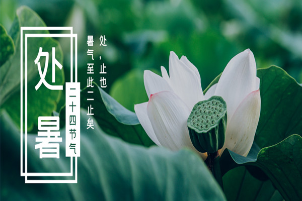 暑盡秋來(lái)，喜迎收獲的季節(jié)